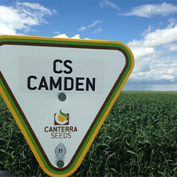 cs-camden-picture